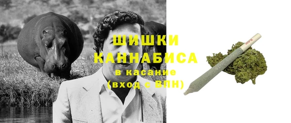 эйфоретик Белокуриха