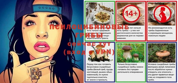 эйфоретик Белокуриха