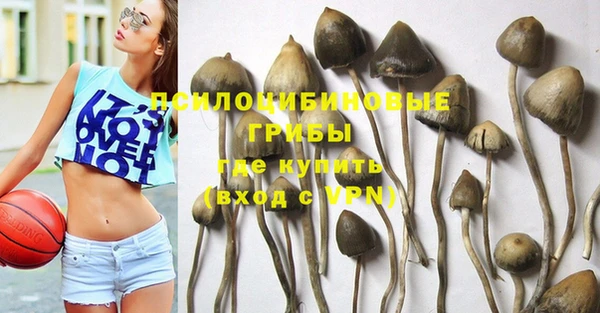 эйфоретик Белокуриха