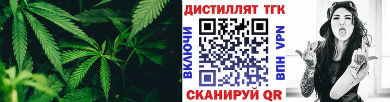 купить наркоту  Весьегонск  ТГК гашишное масло 